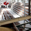 Battery Cages For Egg Chicken With Layers